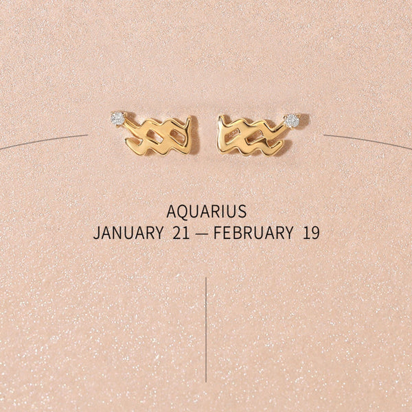 Bradley zodiac earrings