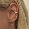 Remmy earring set