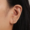 Bruce diamond piercing
