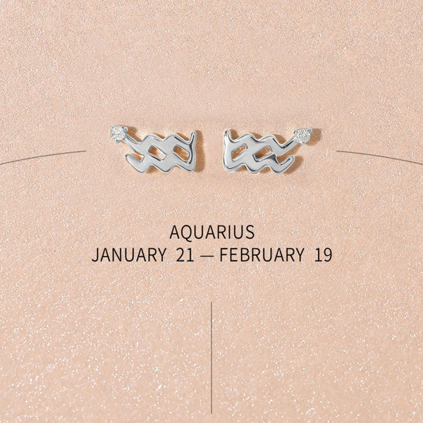 Bradley zodiac earrings