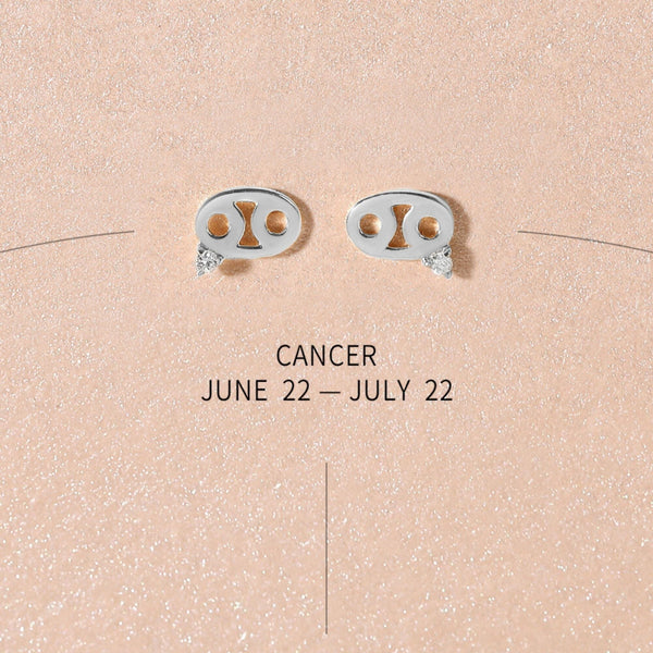 Bradley zodiac earrings