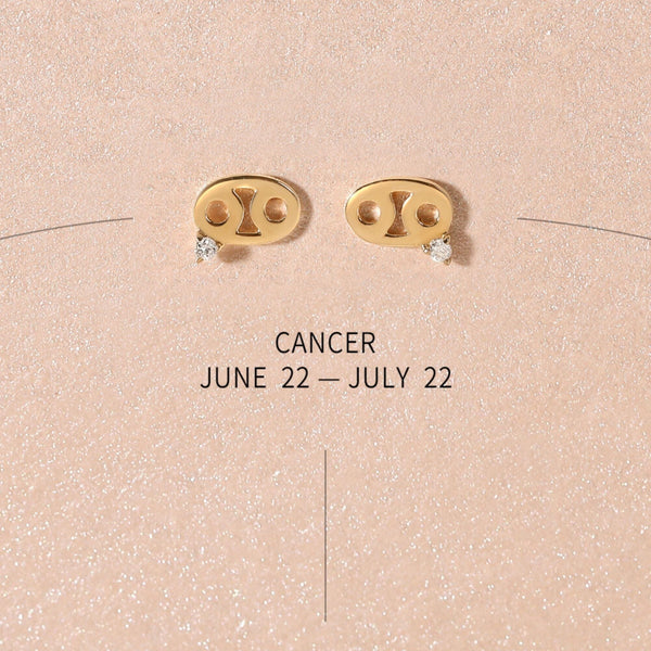 Bradley zodiac earrings