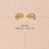 Bradley zodiac earrings