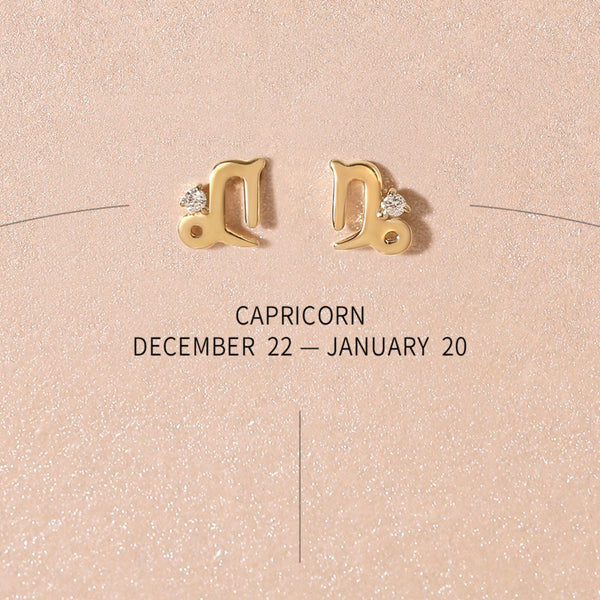 Bradley zodiac earrings