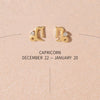 Bradley zodiac earrings
