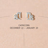 Bradley zodiac earrings