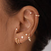 Oberyn piercing