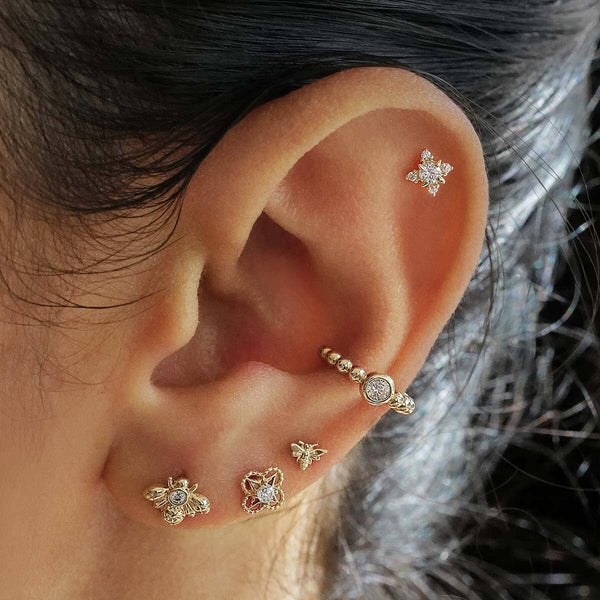 Errol bee piercing