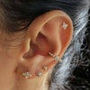 Errol bee piercing