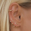 Frankie u hoop diamond piercing