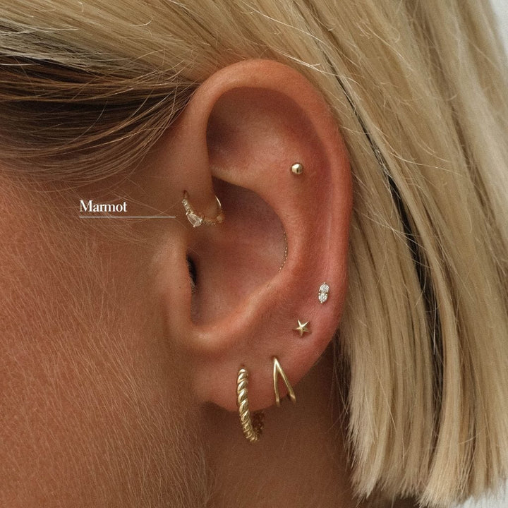 Marmot huggie piercing