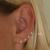 Marmot huggie piercing