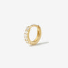 Mike diamond hoop piercing
