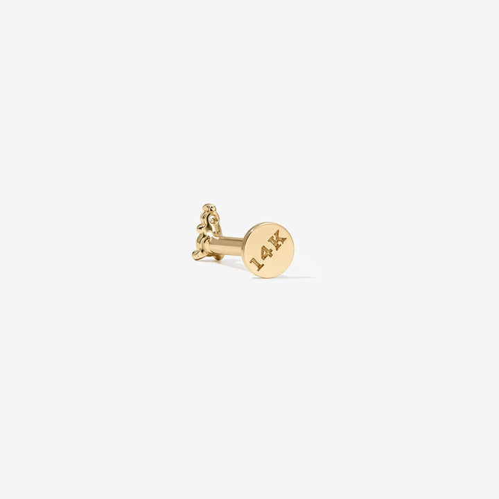 Quince piercing