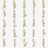 Dezi diamond alphabet charm