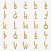 Alpha alphabet charm