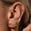 Caspian red piercing