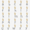 Danny alphabet earring