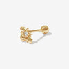 Errol bee piercing