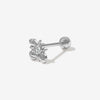 Errol bee piercing
