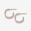 Hass hoop earrings
