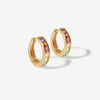 Jamie rainbow hoop earrings