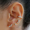 Nikau piercing