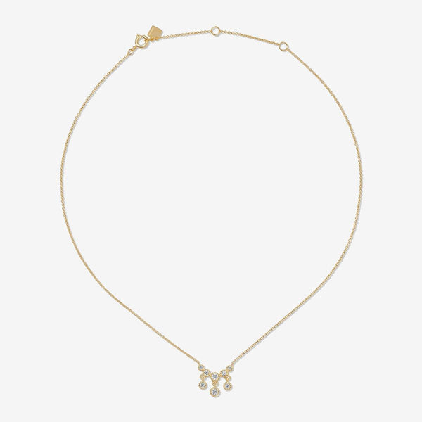 Pleigh necklace
