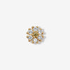 Rafferty yellow piercing
