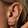 Rafferty piercing