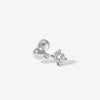 Sable piercing