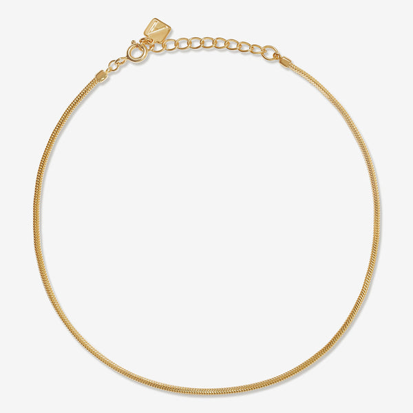 Tejano snake chain anklet