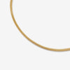 Tejano snake chain anklet